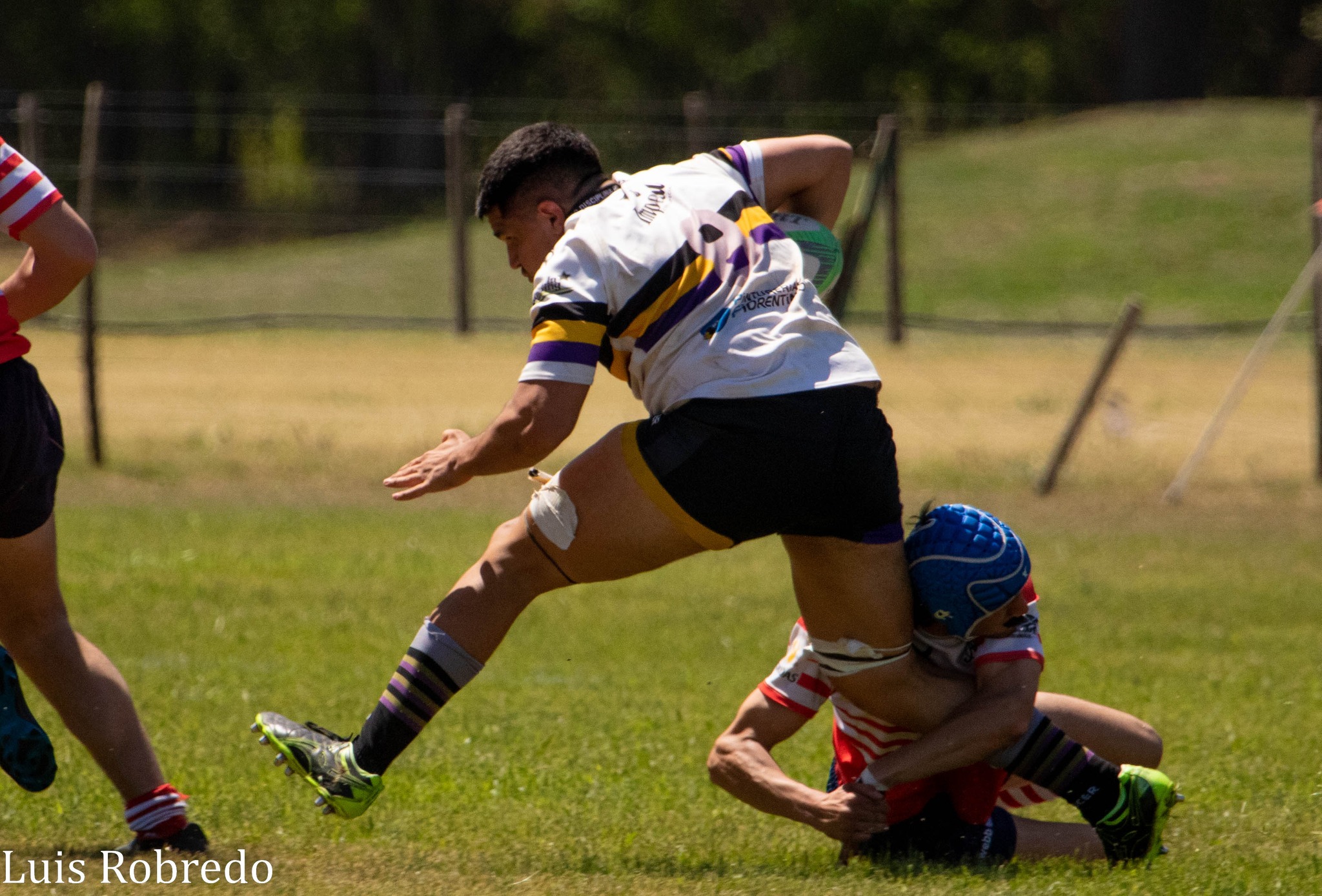  Areco Rugby Club - Club Atlético San Antonio de Padua - Rugby - URBA - Areco RC vs Padua (#URBAArecoPadua2022R1) Photo by: Luis Robredo | Siuxy Sports 2022-11-06