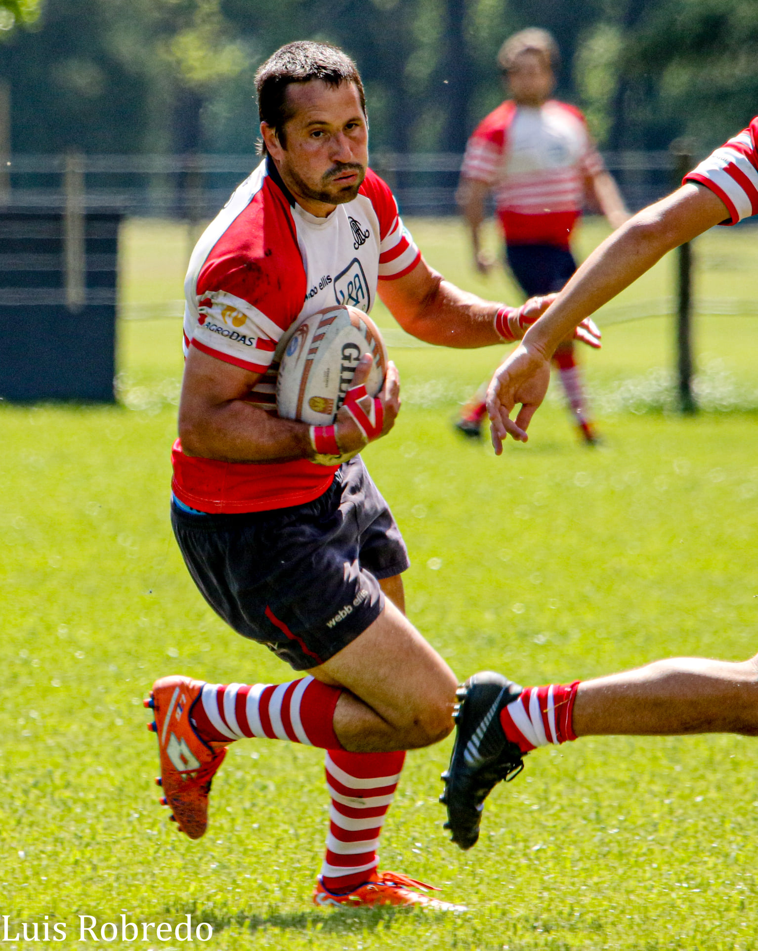  Areco Rugby Club - Club Italiano Rugby - Rugby - Areco Vs Italiano 2021 (#ArecoVsItaliano2021) Photo by: Luis Robredo | Siuxy Sports 2021-11-05