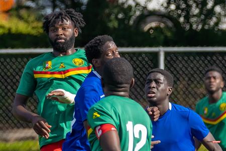 Lions du Cameroun Vs Top Boys FC - LIGAF One