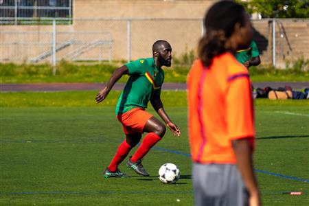 Lions du Cameroun Vs Top Boys FC - LIGAF One