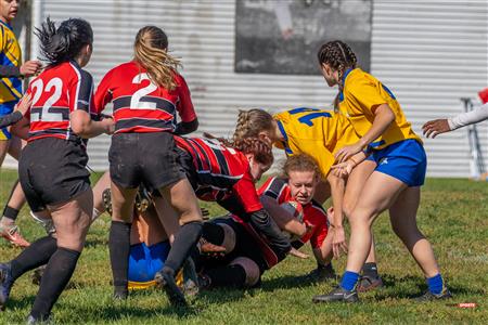 RSEQ Rugby Fem - Vanier (0) vs (95) John Abbott