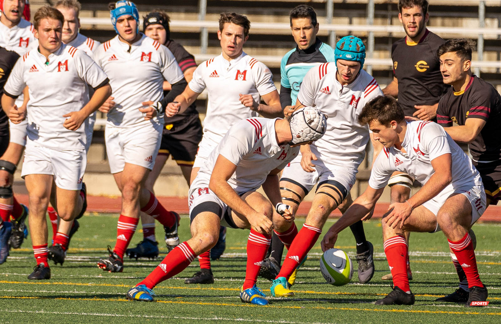  Université McGill - Université Concordia - Rugby -  (#McGillvsConcordiaFinalsM) Photo by:  | Siuxy Sports 2021-11-06