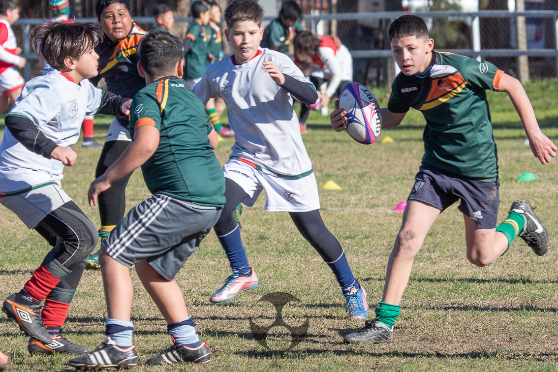  Sociedad Italiana de Tiro al Segno - Virreyes Rugby Club - Rugby - M12 SITAS vs Virreyes (#M12SitasvsVirreyes2021) Photo by: Alan Roy Bahamonde | Siuxy Sports 2021-07-17