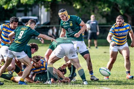 Hindu vs Los Tilos - URBA - TOP13 - Fecha1 - 2022