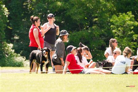 SABRFC vs. Beaconsfield RF -  Crowd