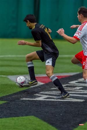 QSL - Dynamo Plateau vs White Eagles