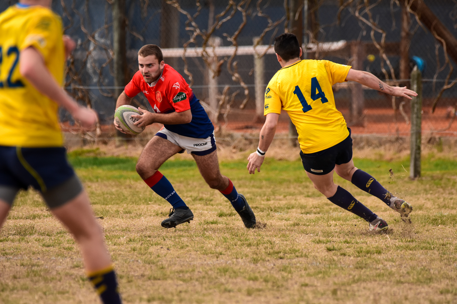  La Plata Rugby Club - Asociación Deportiva Francesa - Rugby - La Plata vs Deportiva Francesa - Primera, Inter, Prés - URBA 1raA (#LaPlataDepo2022URBA) Photo by: Ignacio Pousa | Siuxy Sports 2022-06-04