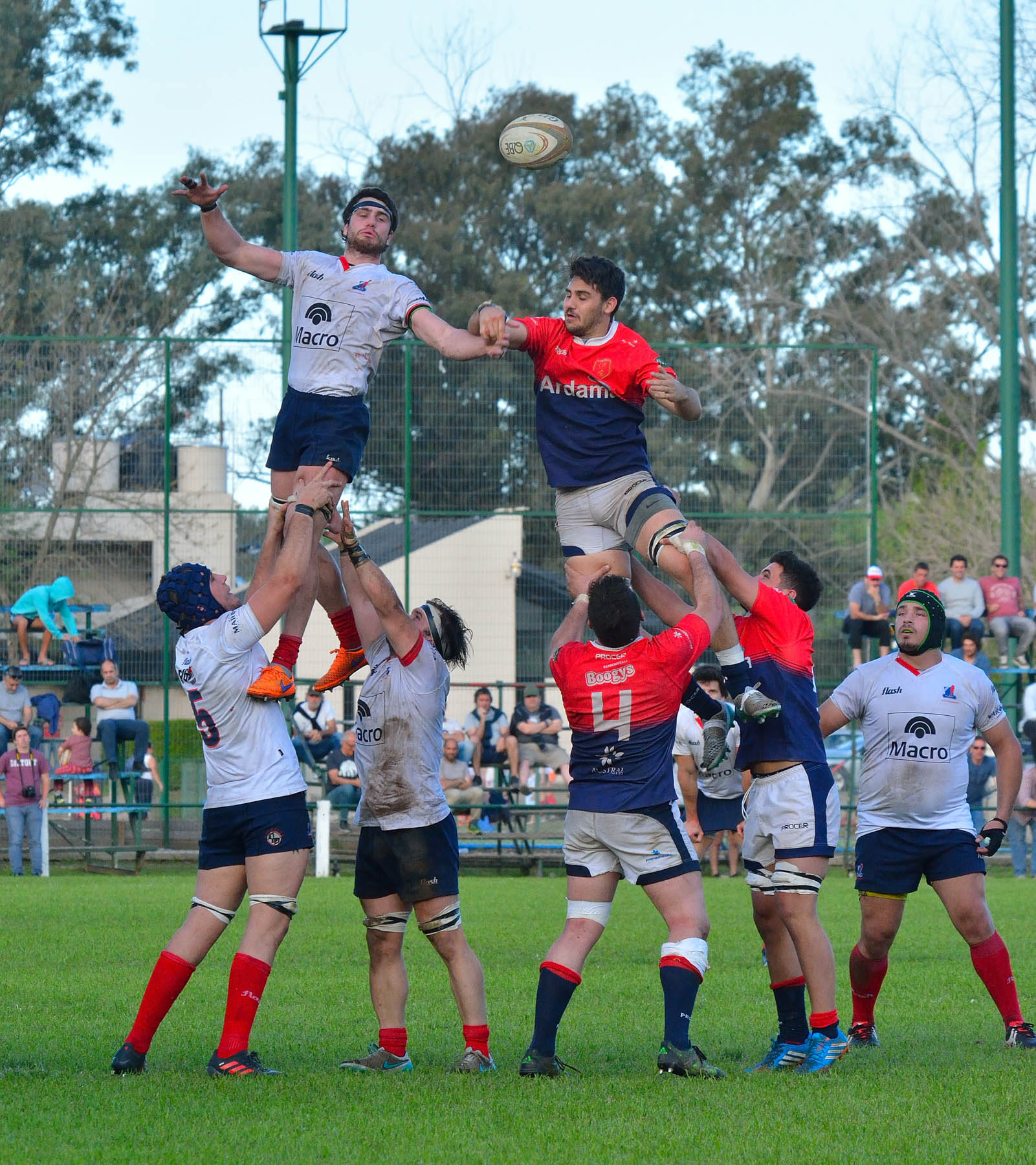  Pueyrredón Rugby Club - Asociación Deportiva Francesa - Rugby -  (#PueyVsDepoOct2018Prim) Photo by: Edy Rung | Siuxy Sports 2018-10-06