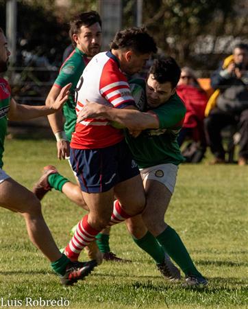 Areco Rugby vs Brandsen