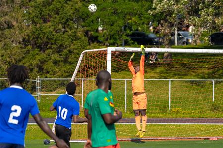 Lions du Cameroun Vs Top Boys FC - LIGAF One