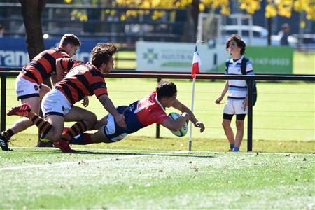 Deportiva Francesa vs Olivos Rugby Club - Inter & Pre - URBA