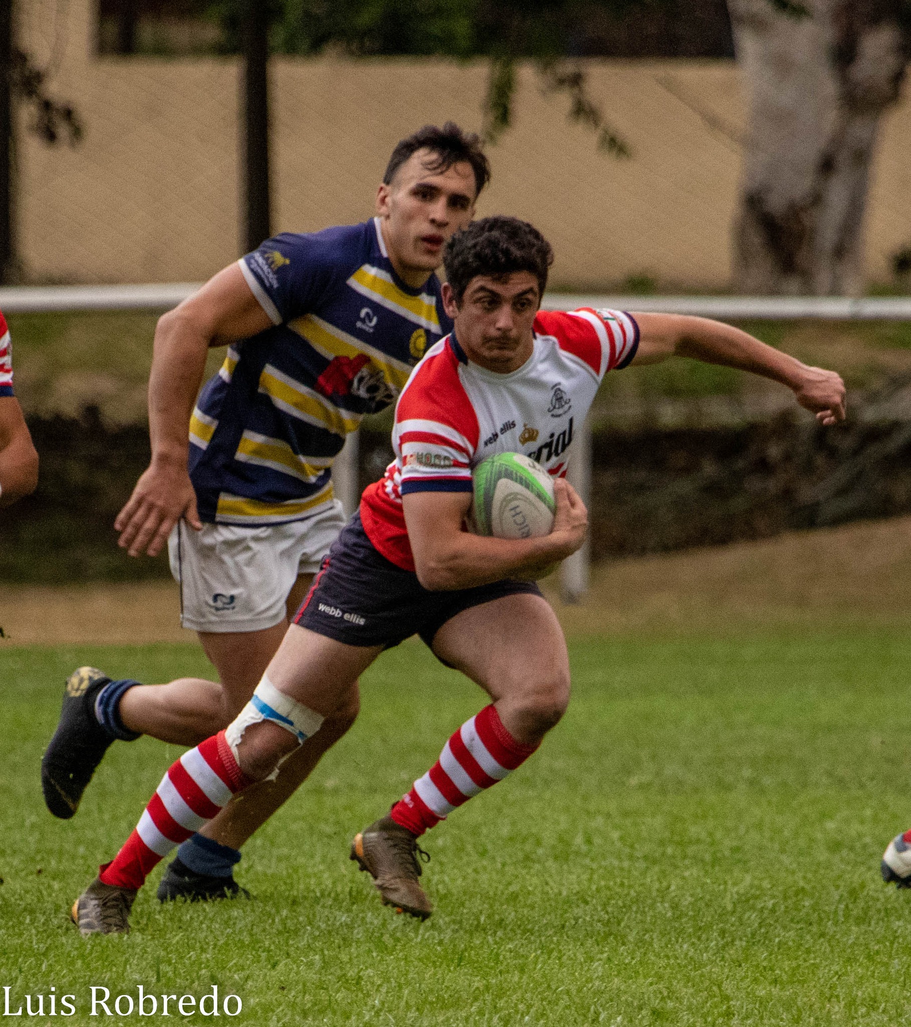  Areco Rugby Club - Círculo de ex Cadetes del Liceo Militar Gral San Martín - Rugby - URBA - Areco RC vs Liceo Militar (#URBAArecoLiceoM2022) Photo by: Luis Robredo | Siuxy Sports 2022-10-22