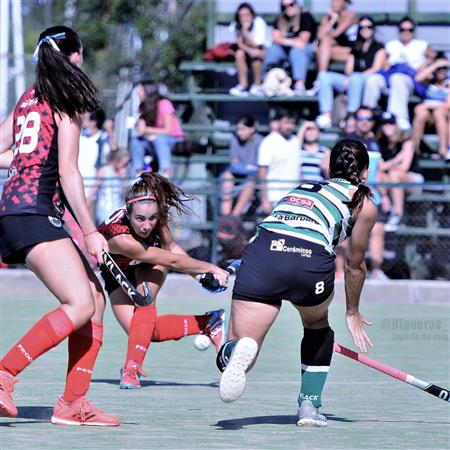 Liceo Vs Santa Barbara - Hockey con leonas !