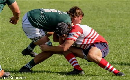 Los Cardos Rugby Club vs Areco Rugby Club
