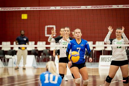 RSEQ - Volley Fém (D2) - UQAC (3) vs (1) UQO - Reel 1