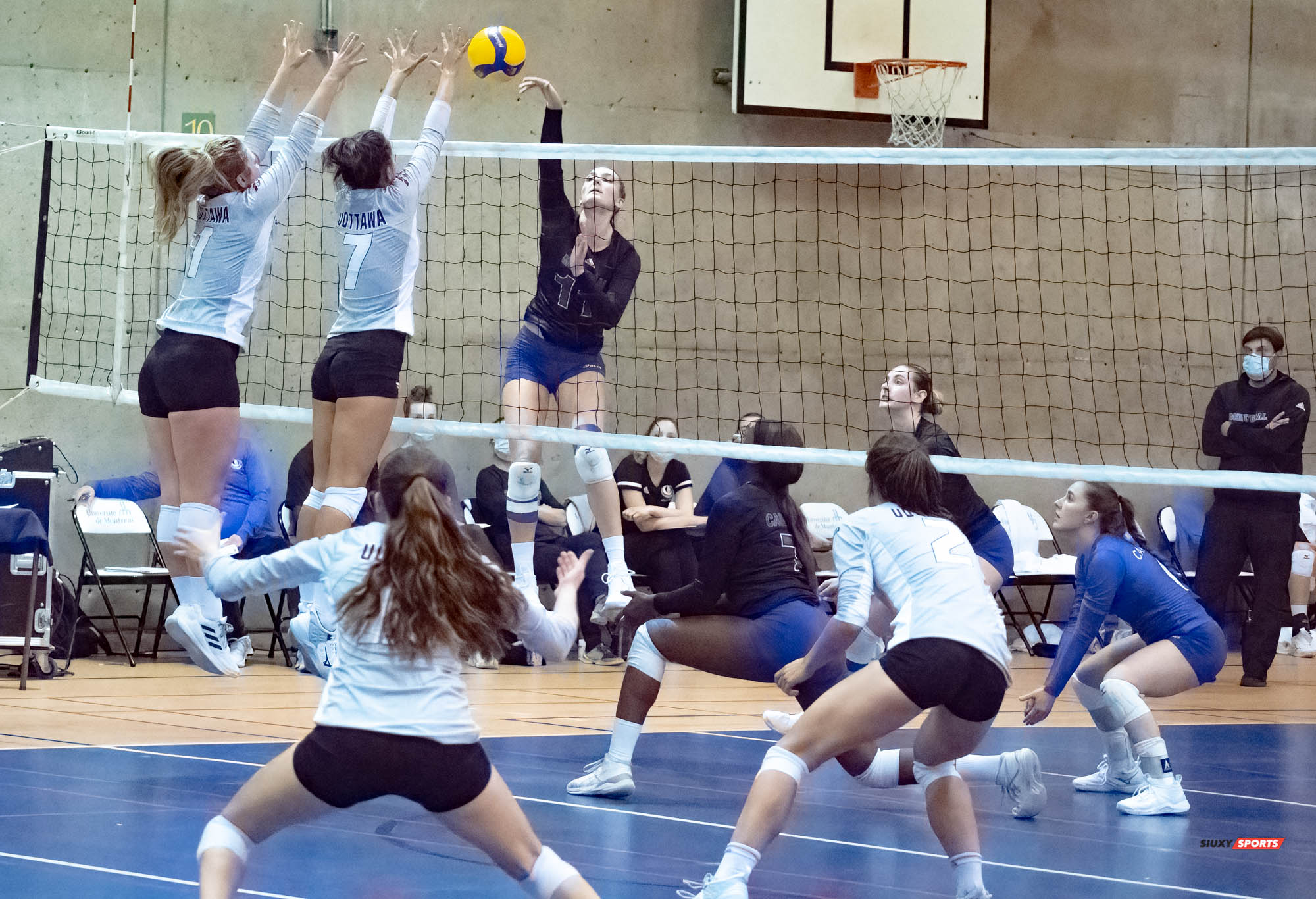 Gabrielle FORTIN -  Université de Montréal - Université Ottawa - Volleyball -  (#VolleyUdeMvsUOttawaFW) Photo by:  | Siuxy Sports 2021-11-12