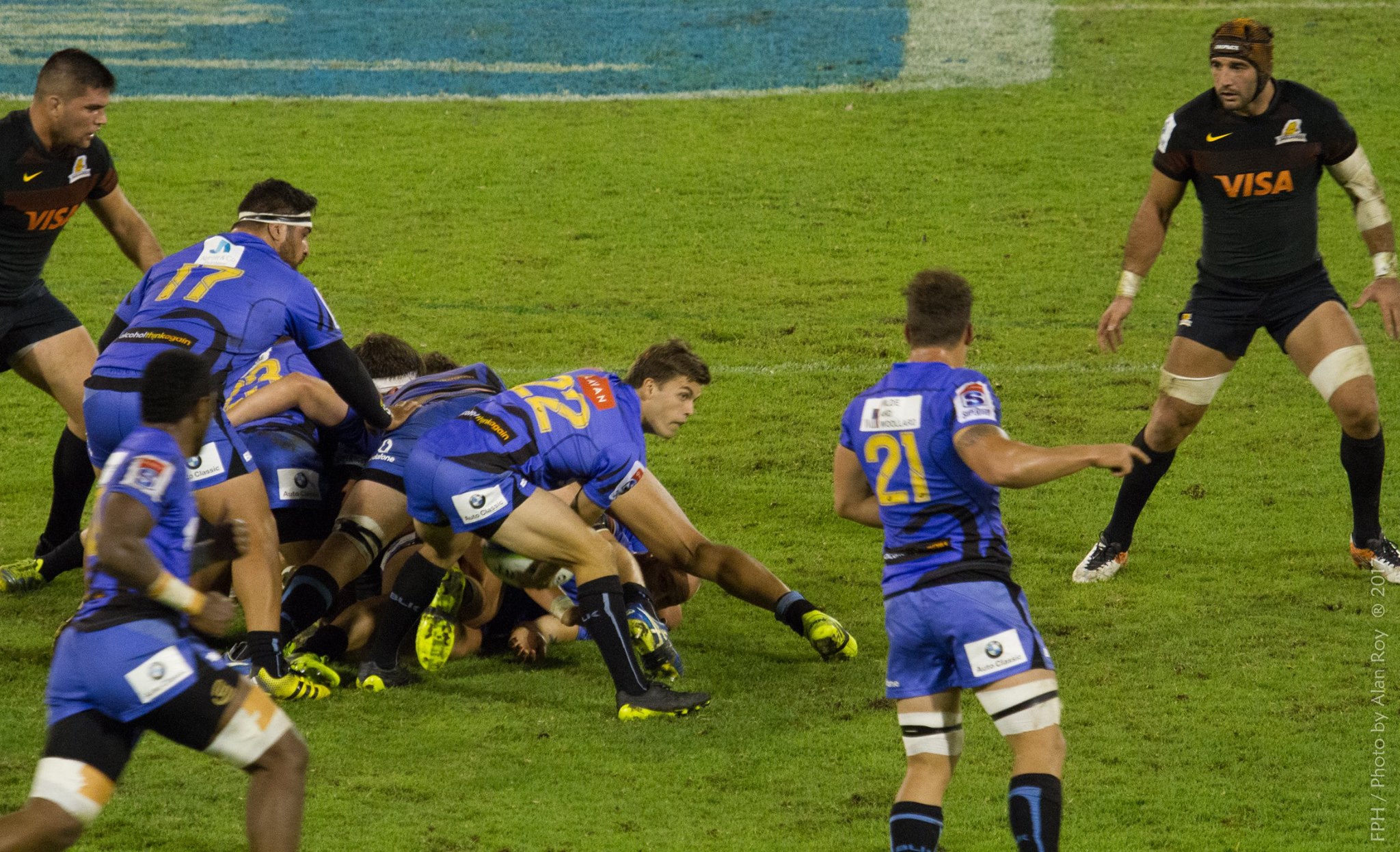  Jaguares - Western Force - Rugby - Jaguares vs Western Force 2017 (#JaguaresVsWstrnForce2017) Photo by: Alan Roy Bahamonde | Siuxy Sports 2017-05-13