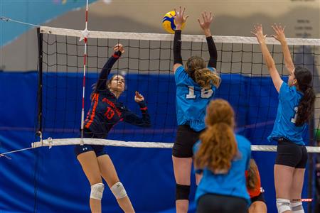 RSEQ - Volleyball C F D2 Sud-Ouest - Tournoi 4 - Sect F - André Laurendeau (2) vs (1) Gérald Godin
