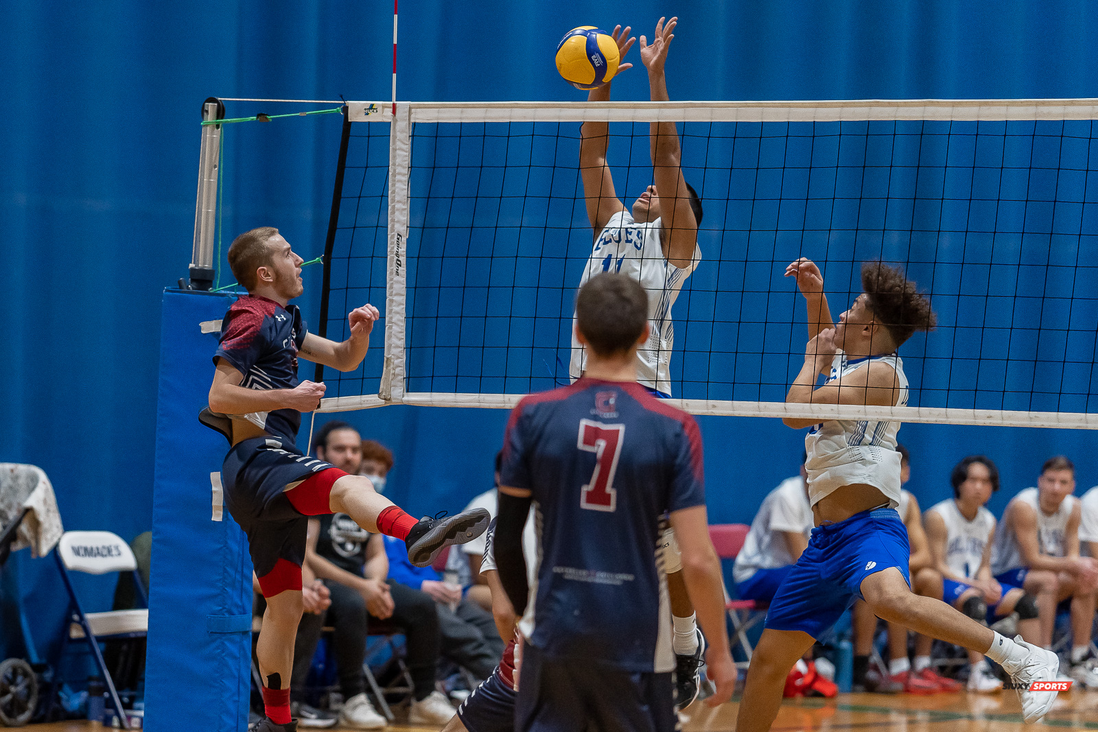  Cégep de l'Abitibi-Témiscamingue - College Dawson - Volleyball - RSEQ - Volleyball C M D2 Sud-Ouest - Tournoi 4 - Section A - Gaillards (2) vs (0) Blues (#RSEQVoll2022ABIDAW) Photo by: Dan Taylor-Morin | Siuxy Sports 2022-12-04