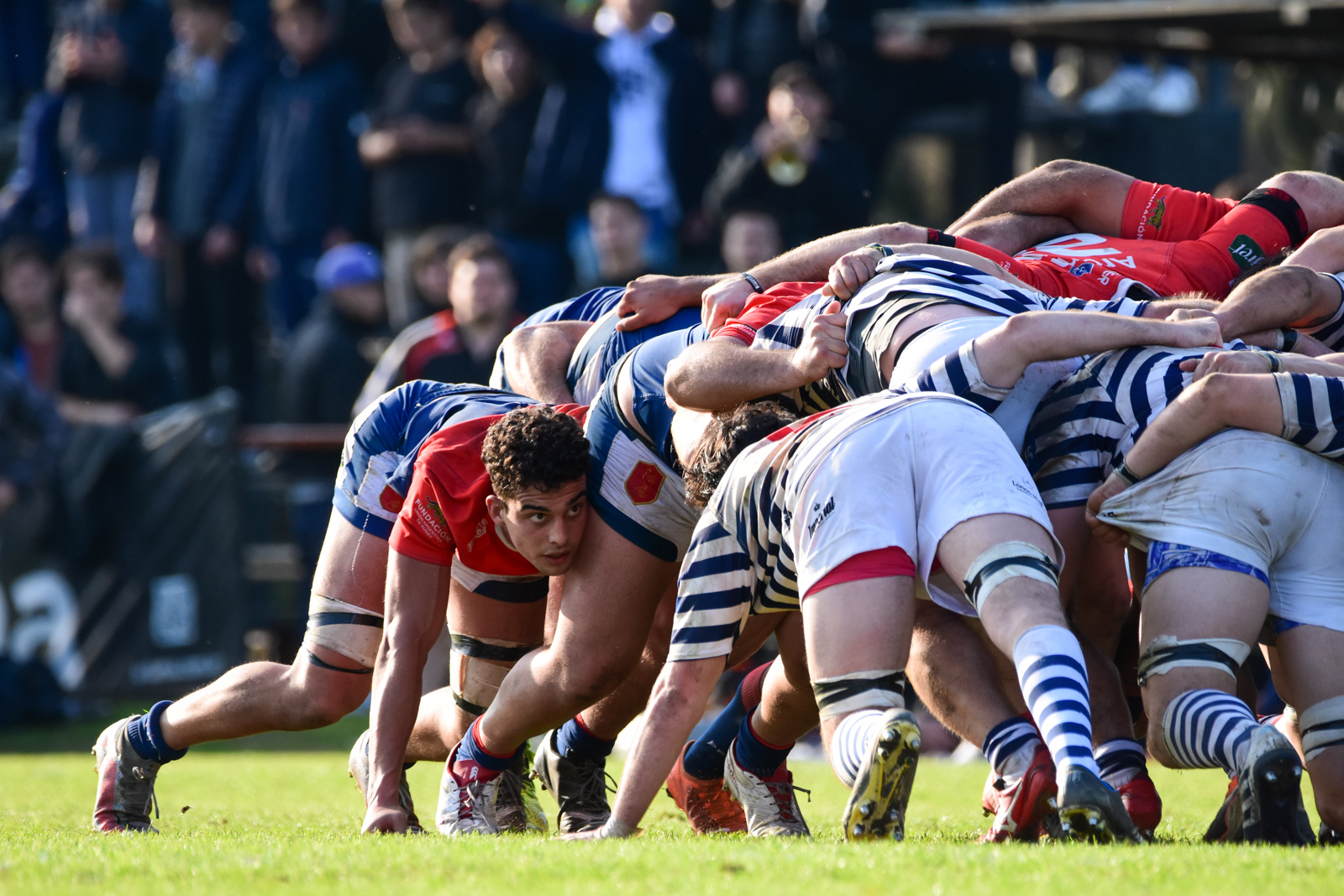  Asociación Deportiva Francesa - Club San Carlos - Rugby - Deportiva Francesa - San Carlos - Torneo URBA 2022  Primera A - Pri, Inter, Pre  (#DepoVsSanCarlos2022) Photo by: Ignacio Pousa | Siuxy Sports 2022-07-09
