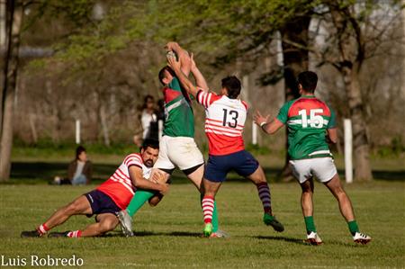 Areco Rugby vs Brandsen