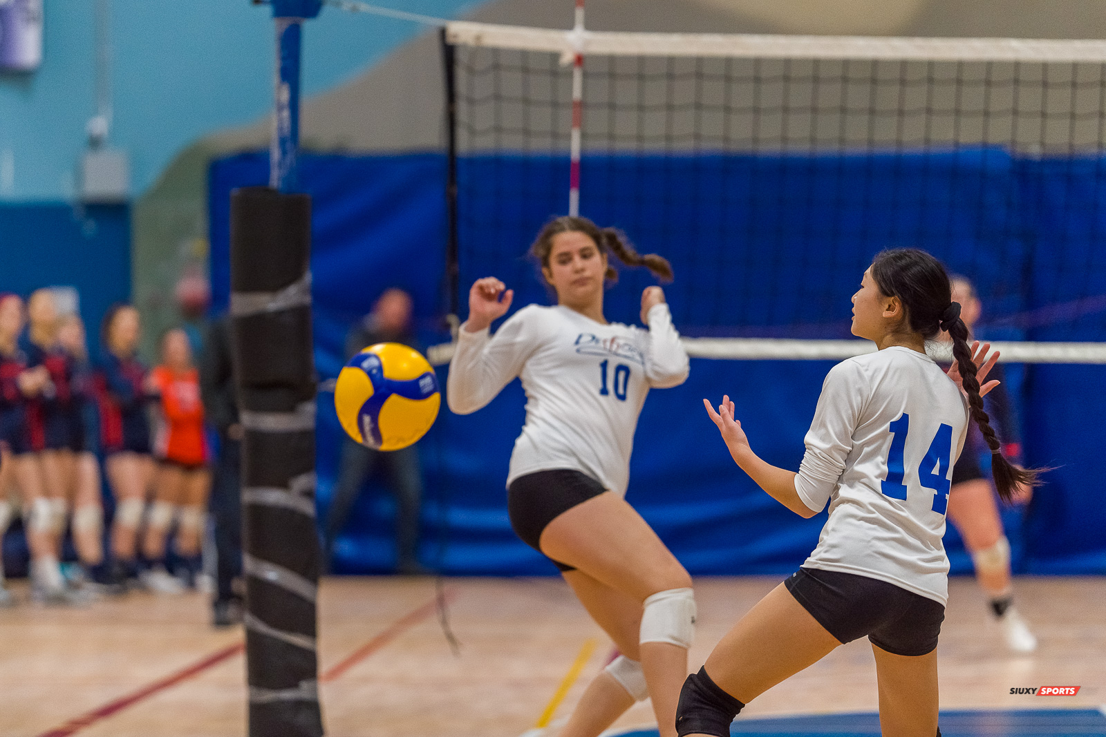  Cégep André Laurendeau - Collège Marianopolis - Volleyball - RSEQ - Volleyball C F D2 Sud-Ouest - Tournoi 4 - Sect F - André Laurendeau (2) vs (1) Marianopolis (#RSEQVolleyALvsMariano2022) Photo by: Dan Taylor-Morin | Siuxy Sports 2022-11-27
