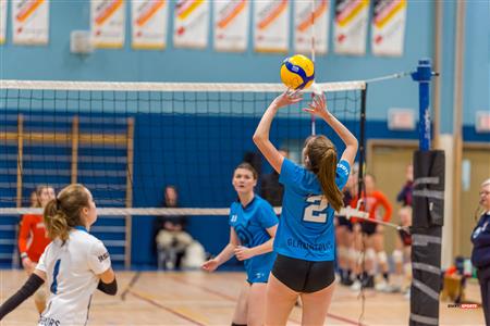 RSEQ - Volleyball C F D2 Sud-Ouest - Tournoi 4 - Sect F - André Laurendeau (2) vs (1) Gérald Godin