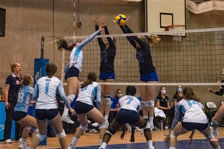 Université de Montréal vs Université du Québec à Montréal - Volleyball Fém