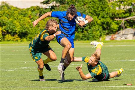 RSEQ RUGBY Masc - U. DE MONTRÉAL (50) vs (7) U. Sherbrooke - Reel A1