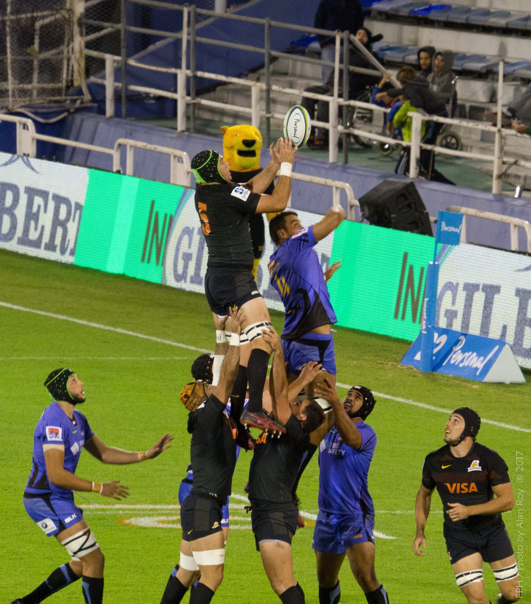  Jaguares - Western Force - Rugby - Jaguares vs Western Force 2017 (#JaguaresVsWstrnForce2017) Photo by: Alan Roy Bahamonde | Siuxy Sports 2017-05-13