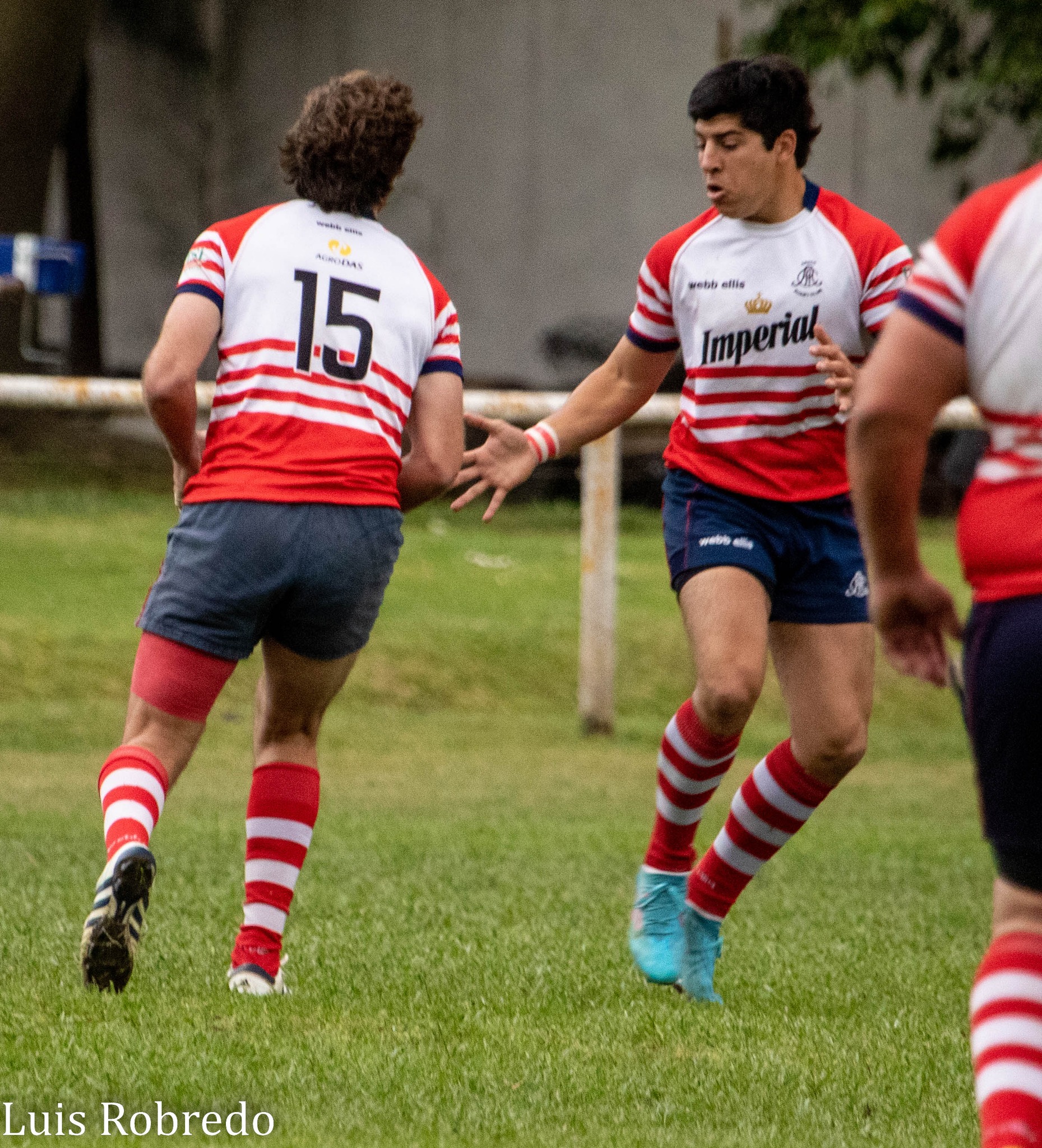  Areco Rugby Club - Círculo de ex Cadetes del Liceo Militar Gral San Martín - Rugby - URBA - Areco RC vs Liceo Militar (#URBAArecoLiceoM2022) Photo by: Luis Robredo | Siuxy Sports 2022-10-22