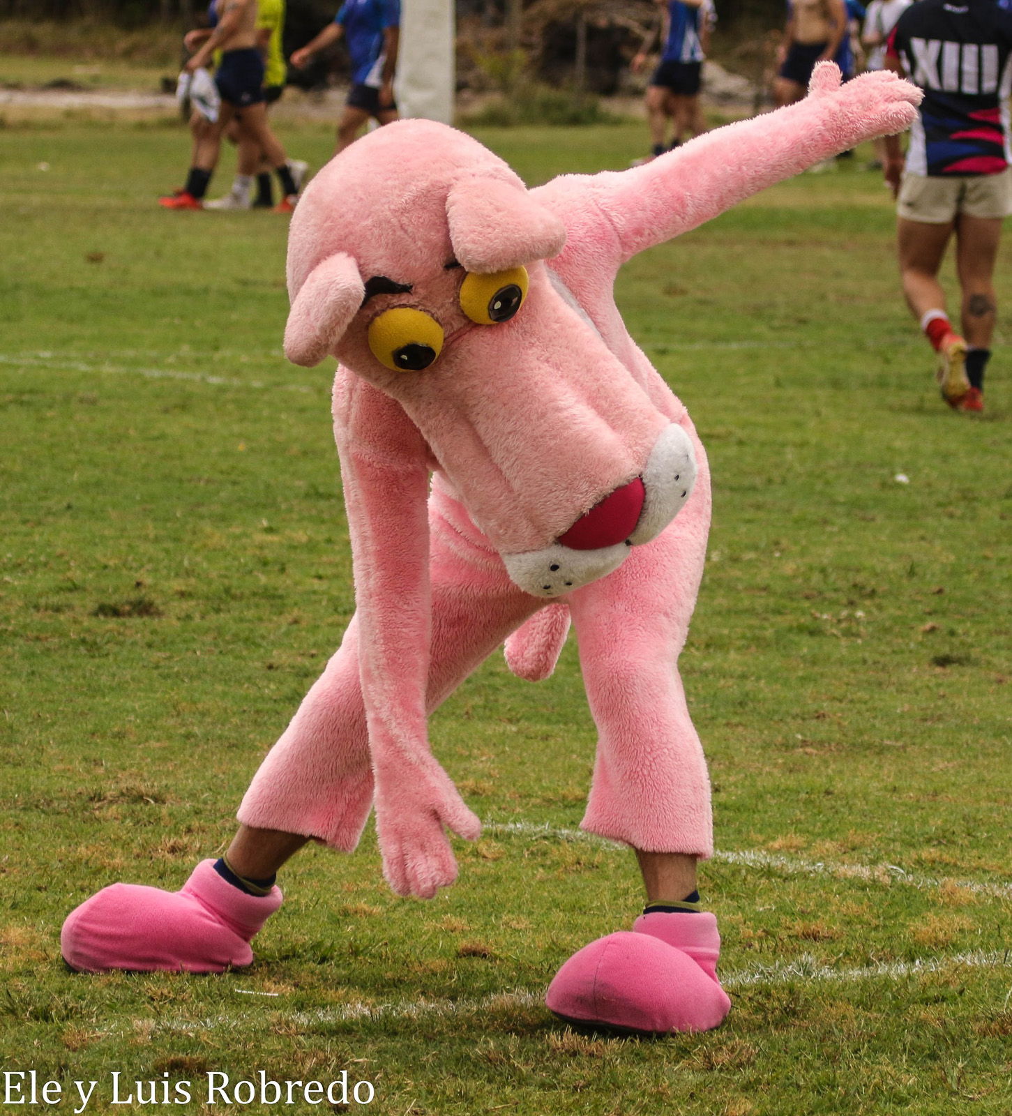  Areco Rugby Club -  - Rugby - XXII Seven de la Tradición 2022 - Areco - Reel C - Crowd - Público (#XXIISevTrad2022RC1) Photo by: Luis Robredo | Siuxy Sports 2022-12-03