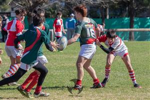 SITAS vs Rugby Club Los Matreros - URBA M14