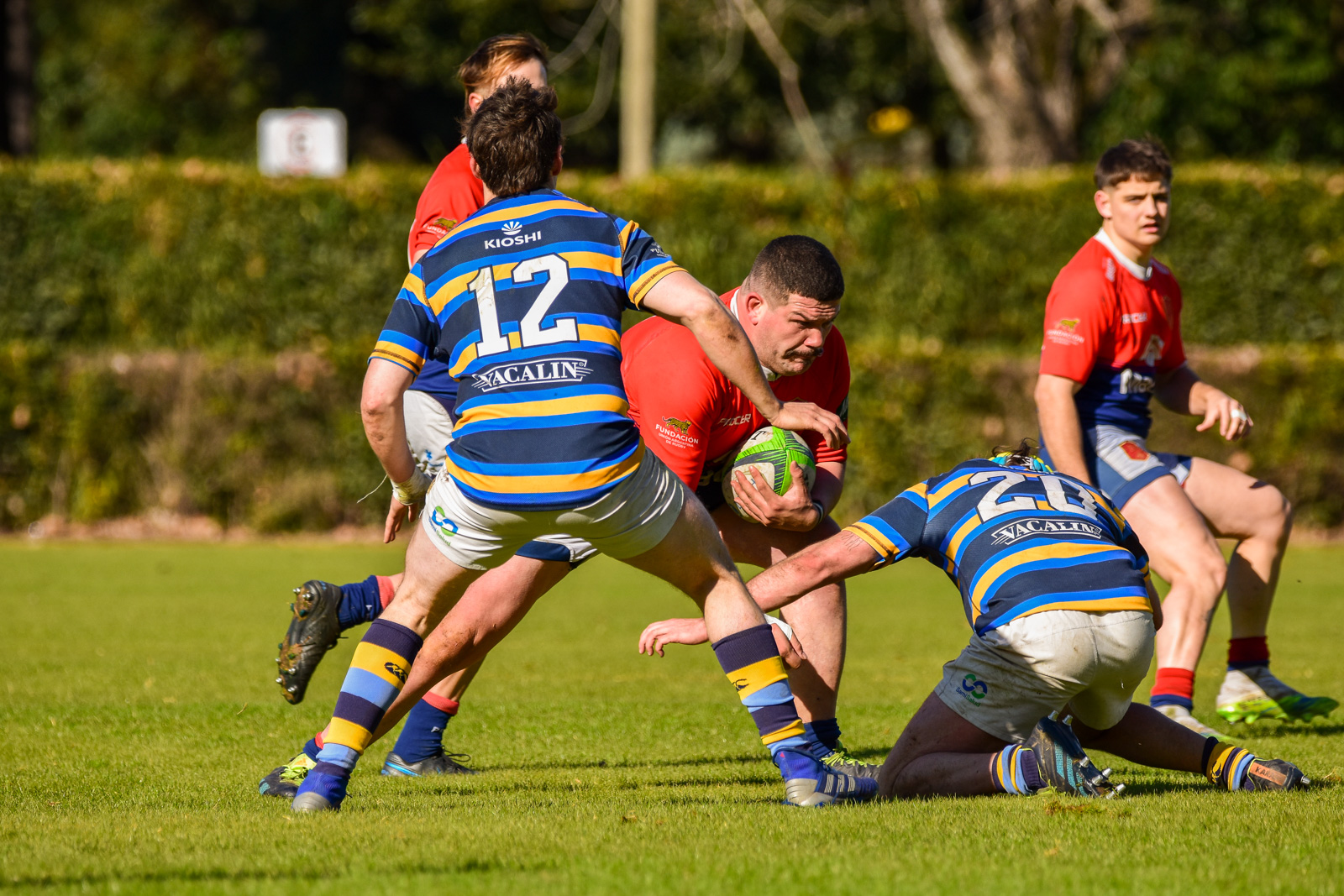  Club San Albano - Asociación Deportiva Francesa - Rugby - San Albano vs. Deportiva Francesa - URBA 1ra A - Primera, Inter, Preinter (#SanAlbanoDepo2022) Photo by: Ignacio Pousa | Siuxy Sports 2022-07-03
