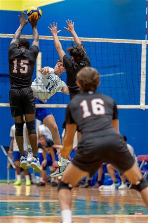 RSEQ - VOLLEYBALL C M D2 SUD-OUEST - TOURNOI 4 - SECTION A - Aigles (2) VS (1) Blues
