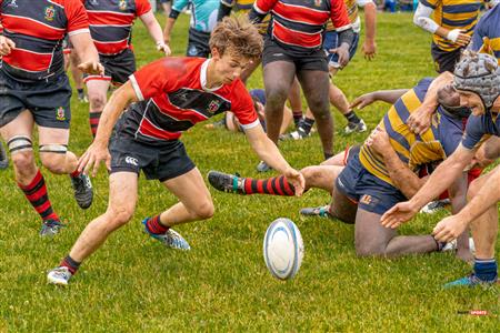 TMR vs BRFC - Reel SEQ - M2