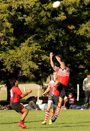 Areco Rugby Club vs Tiro Federal de San Pedro