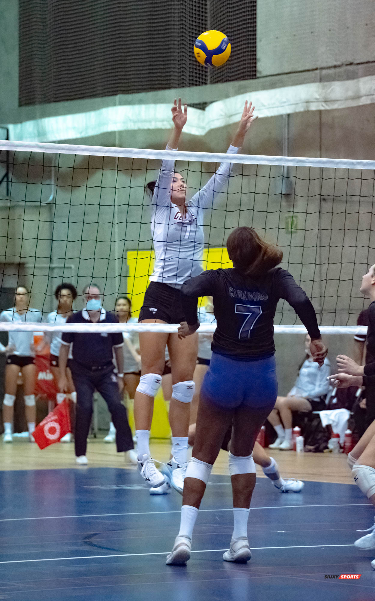 Alana LEUNG -  Université de Montréal - Université Ottawa - Volleyball -  (#VolleyUdeMvsUOttawaFW) Photo by:  | Siuxy Sports 2021-11-12