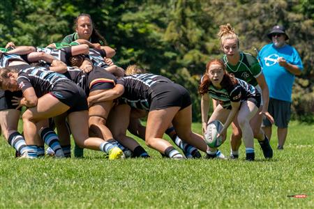 Wanderers (17) Vs (22) Irish - Provinciale 1 F