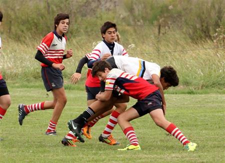 M15 Areco vs Los Cedros 2014
