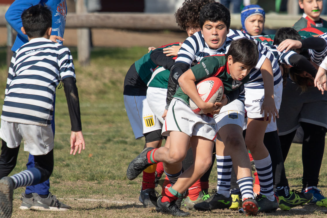  Sociedad Italiana de Tiro al Segno - Club San Carlos - Rugby - Sitas Vs San Carlos - URBA M12 (#SITASvsSanCarlos2021M12) Photo by: Alan Roy Bahamonde | Siuxy Sports 2021-08-14