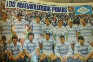 Los maravillosos Pumas