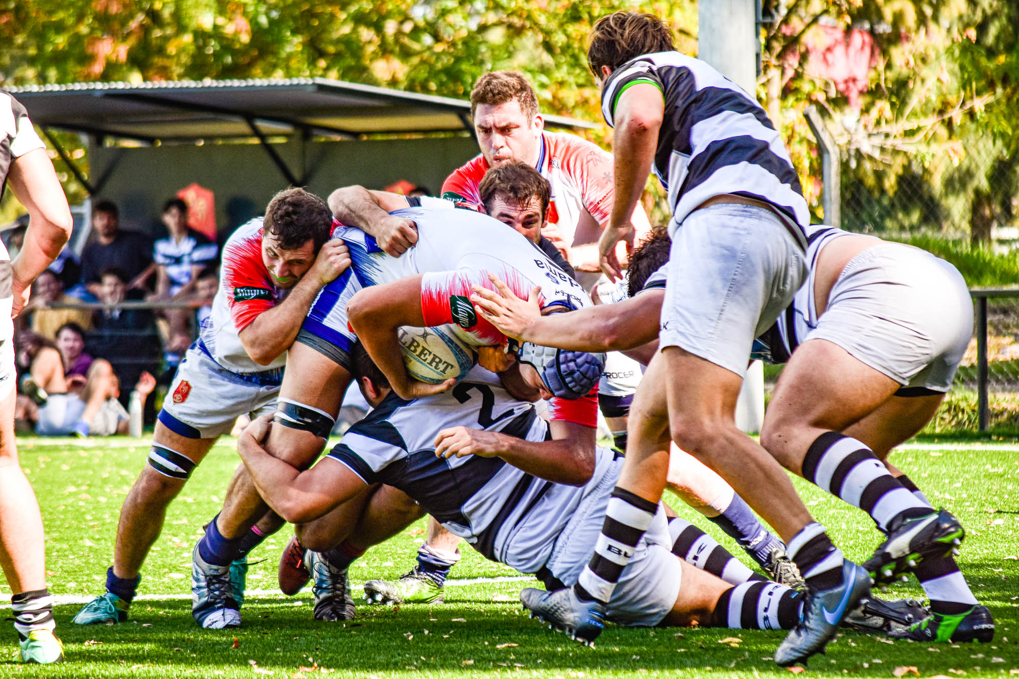  Asociación Deportiva Francesa - Club Atlético de San Isidro - Rugby -  (#ADFvsCASI2021) Photo by: Ignacio Pousa | Siuxy Sports 2021-03-27