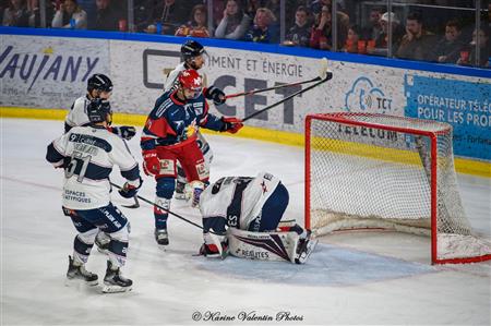 Grenoble BDL vs Ducs d'Angers - 2022