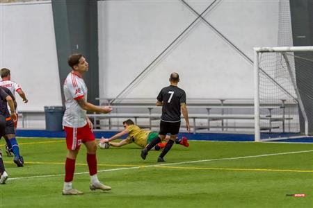 QSL - Dynamo Plateau vs White Eagles