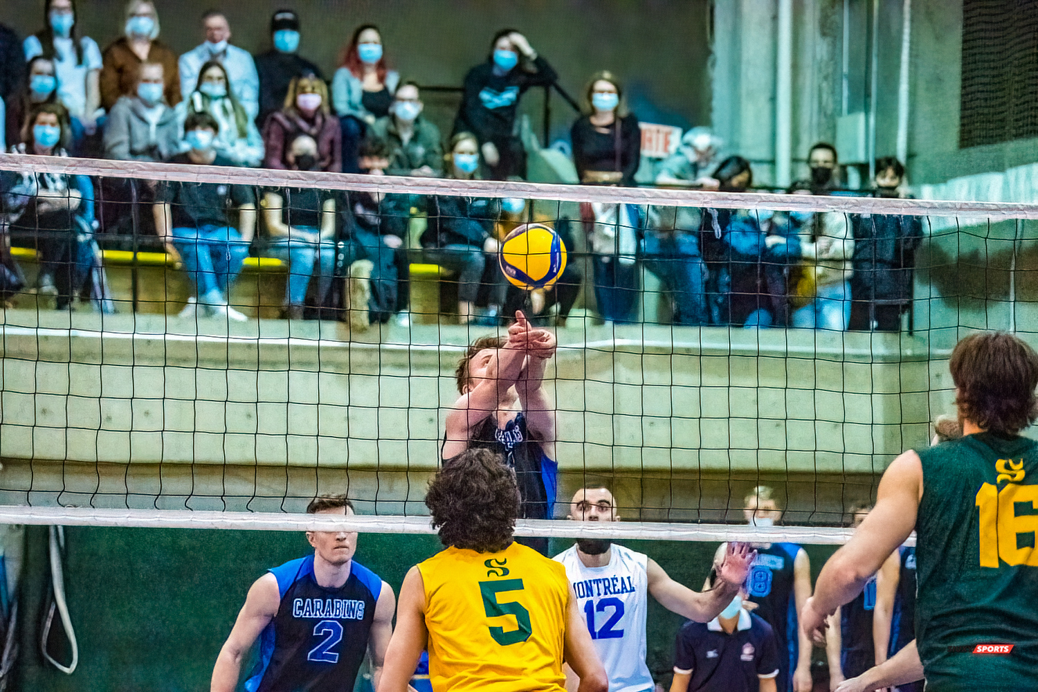 Simon BILODEAU - Zachary HOLLANDS -  Université de Montréal - Université de Sherbrooke - Volleyball - Université de Sherbrooke (3) vs Université de Montréal (1) - Final 1 2022 (#VertOrVsCarabinsFinal1M) Photo by:  | Siuxy Sports 2022-03-19