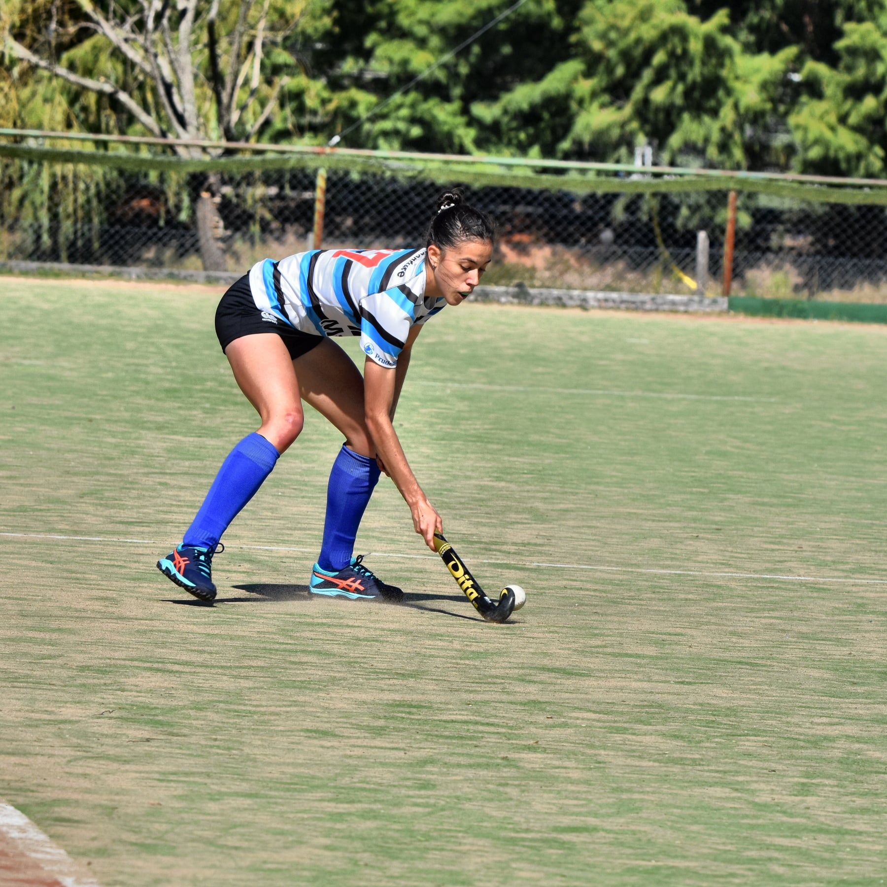  San Isidro Club - Club Atlético Banco de la Provincia de Buenos Aires - Field hockey - S.I.C. A vs Banco Provincia A -  Inter y 1ra - 2022 (#SICBPROV2022) Photo by: Edgardo Kleiman | Siuxy Sports 2022-04-09