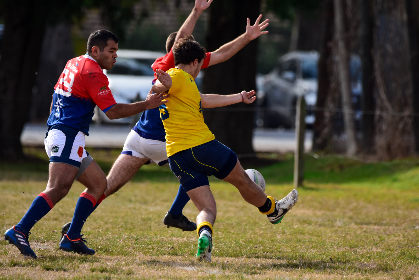  La Plata Rugby Club - Asociación Deportiva Francesa - Rugby - La Plata vs Deportiva Francesa - Primera, Inter, Prés - URBA 1raA (#LaPlataDepo2022URBA) Photo by: Ignacio Pousa | Siuxy Sports 2022-06-04