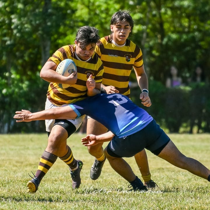  Tacurú Social Club -  - Rugby -  (#tacuru2021) Photo by: Victor Hugo Paniagua | Siuxy Sports 2021-11-28