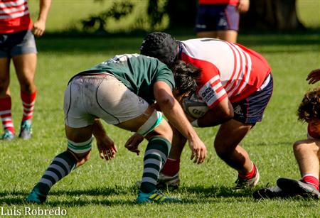 Los Cardos Rugby Club vs Areco Rugby Club
